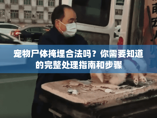 宠物尸体掩埋合法吗？你需要知道的完整处理指南和步骤