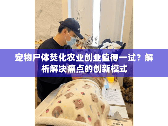 宠物尸体焚化农业创业值得一试?解析解决痛点的创新模式 宠物尸体焚化农业创业值得一试?解析解决痛点的创新模式