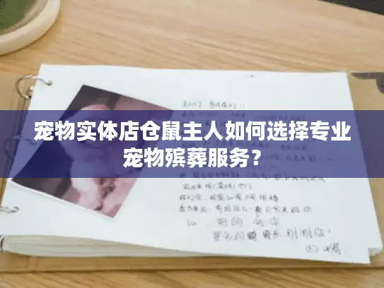 宠物实体店仓鼠主人如何选择专业宠物殡葬服务？
