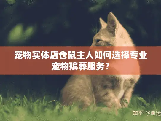 宠物实体店仓鼠主人如何选择专业宠物殡葬服务？