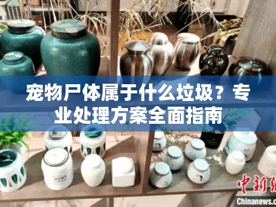 宠物尸体属于什么垃圾？专业处理方案全面指南