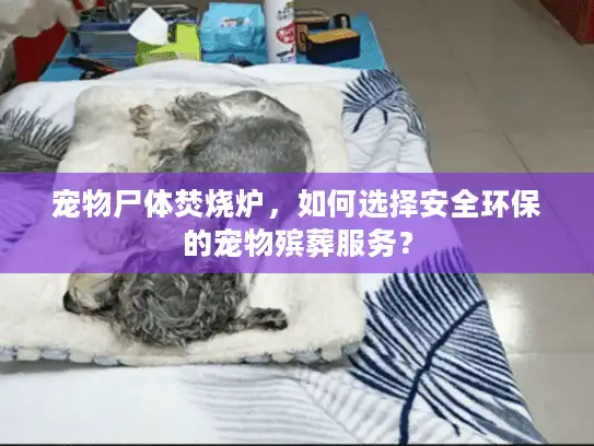 宠物尸体焚烧炉,如何选择安全环保的宠物殡葬服务? 宠物尸体焚烧炉,如何选择安全环保的宠物殡葬服务?