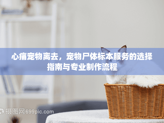 心痛宠物离去，宠物尸体标本服务的选择指南与专业制作流程