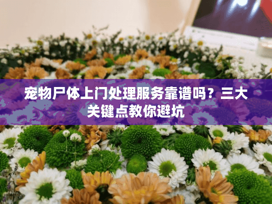 宠物尸体上门处理服务靠谱吗？三大关键点教你避坑