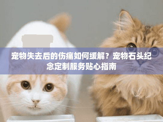 宠物失去后的伤痛如何缓解？宠物石头纪念定制服务贴心指南