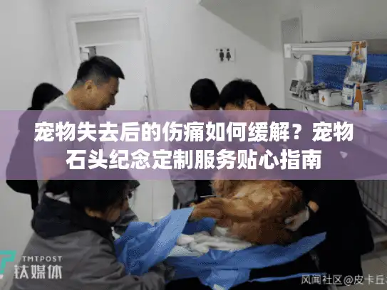 宠物失去后的伤痛如何缓解？宠物石头纪念定制服务贴心指南