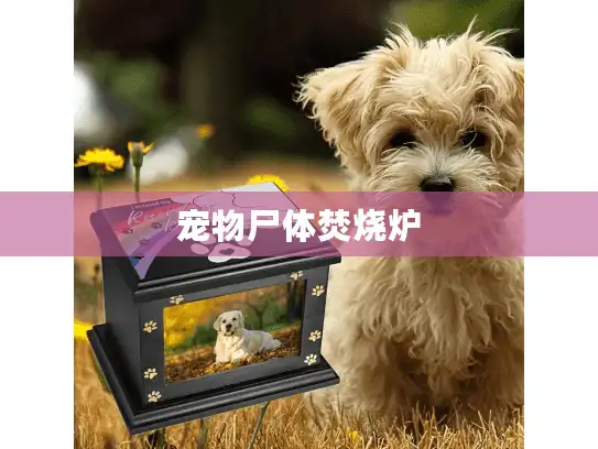 宠物尸体焚烧炉