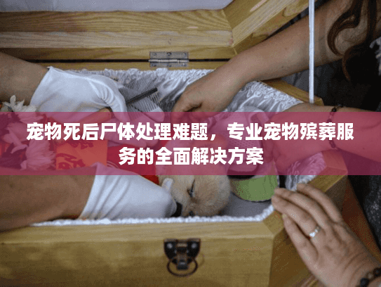 宠物死后尸体处理难题，专业宠物殡葬服务的全面解决方案