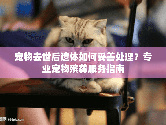 宠物去世后遗体如何妥善处理?专业宠物殡葬服务指南 宠物去世后遗体如何妥善处理?专业宠物殡葬服务指南