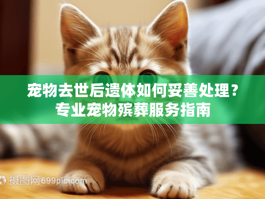 宠物去世后遗体如何妥善处理?专业宠物殡葬服务指南 宠物去世后遗体如何妥善处理?专业宠物殡葬服务指南