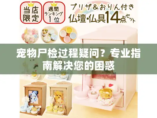 宠物尸检过程疑问？专业指南解决您的困惑