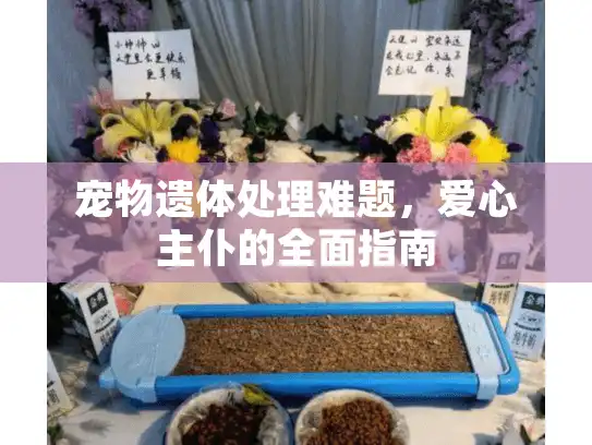宠物遗体处理难题,爱心主仆的全面指南 宠物遗体处理难题,爱心主仆的全面指南