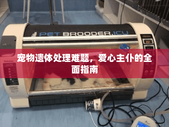 宠物遗体处理难题,爱心主仆的全面指南 宠物遗体处理难题,爱心主仆的全面指南