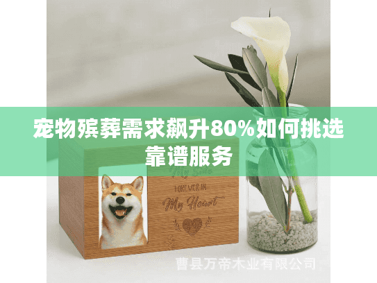 宠物殡葬需求飙升80%如何挑选靠谱服务 宠物殡葬需求飙升80%如何挑选靠谱服务