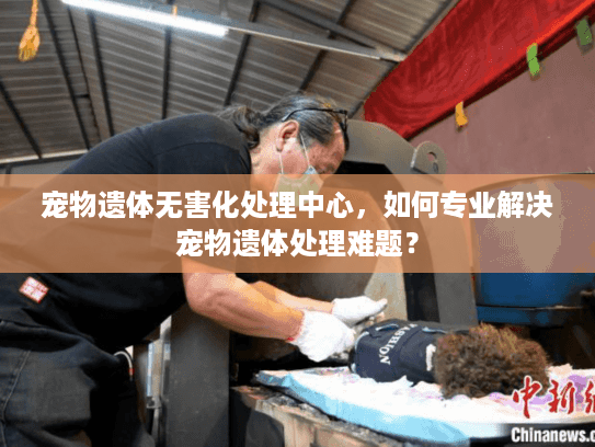 宠物遗体无害化处理中心，如何专业解决宠物遗体处理难题？