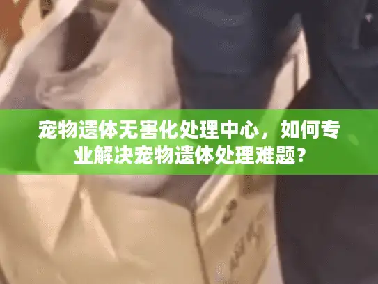 宠物遗体无害化处理中心，如何专业解决宠物遗体处理难题？