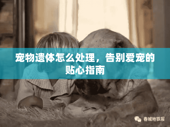 宠物遗体怎么处理,告别爱宠的贴心指南 宠物遗体怎么处理,告别爱宠的贴心指南