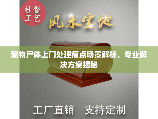 宠物尸体上门处理痛点场景解析，专业解决方案揭秘