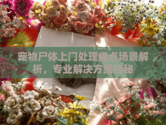 宠物尸体上门处理痛点场景解析，专业解决方案揭秘