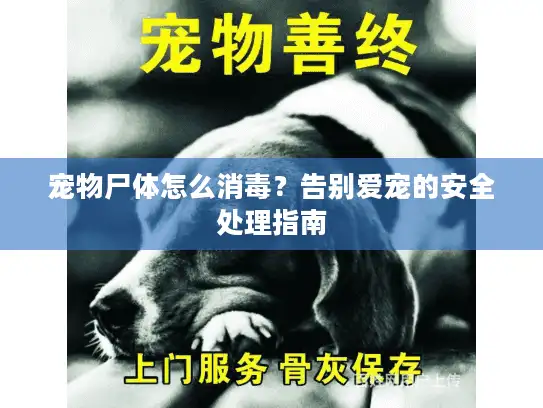 宠物尸体怎么消毒？告别爱宠的安全处理指南