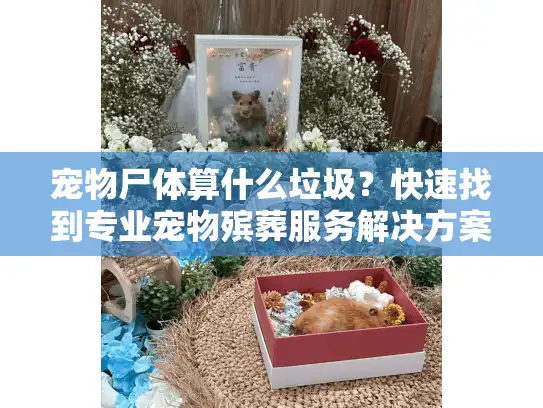 宠物尸体算什么垃圾？快速找到专业宠物殡葬服务解决方案