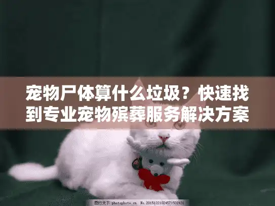 宠物尸体算什么垃圾？快速找到专业宠物殡葬服务解决方案