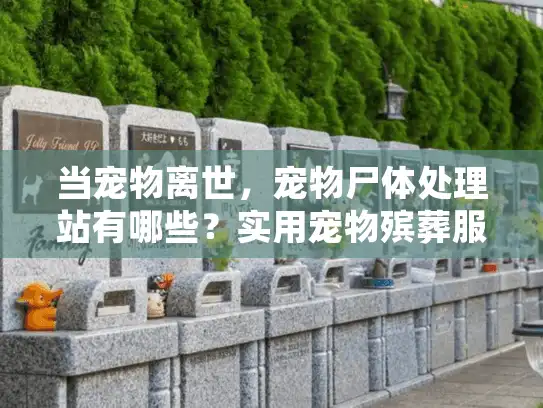当宠物离世，宠物尸体处理站有哪些？实用宠物殡葬服务选择指南