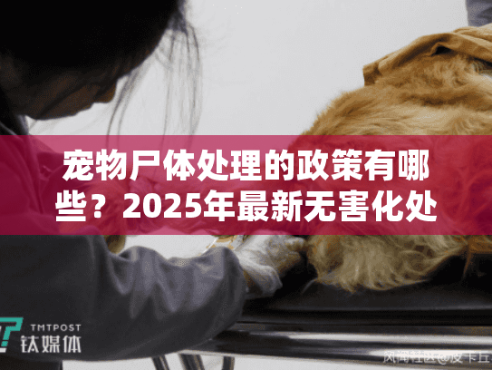 宠物尸体处理的政策有哪些?2025年最新无害化处理规定详解 宠物尸体处理的政策有哪些?2025年最新无害化处理规定详解