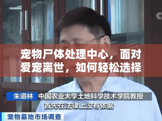 宠物尸体处理中心，面对爱宠离世，如何轻松选择专业处理方案？