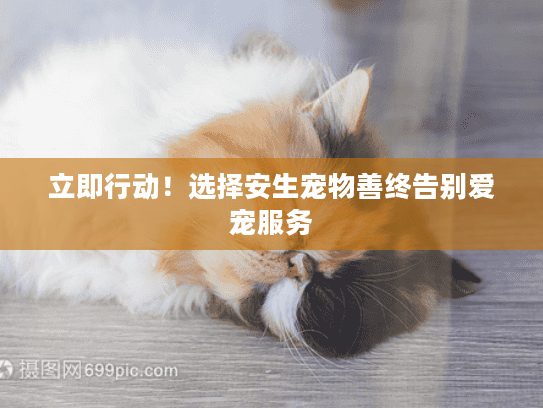 立即行动！选择安生宠物善终告别爱宠服务