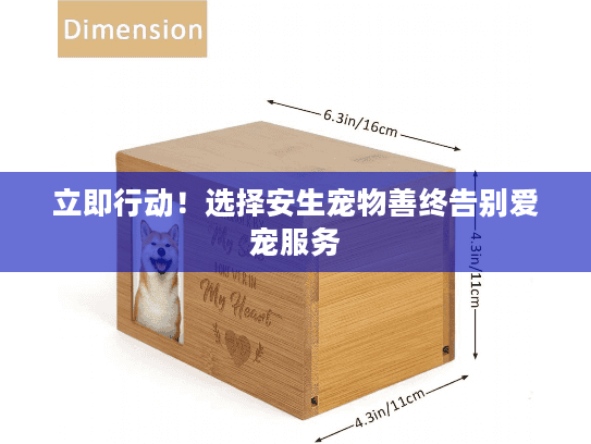 立即行动！选择安生宠物善终告别爱宠服务