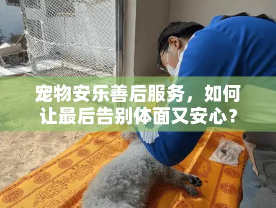 宠物安乐善后服务，如何让最后告别体面又安心？