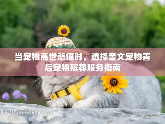 当宠物离世悲痛时，选择奎文宠物善后宠物殡葬服务指南