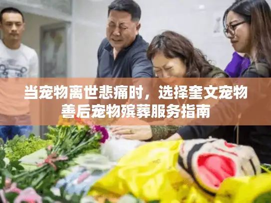 当宠物离世悲痛时，选择奎文宠物善后宠物殡葬服务指南