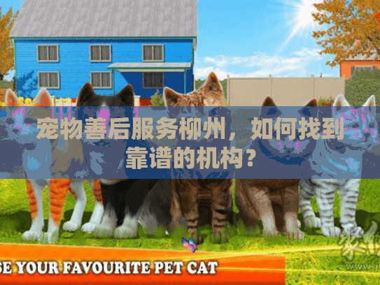 宠物善后服务柳州，如何找到靠谱的机构？