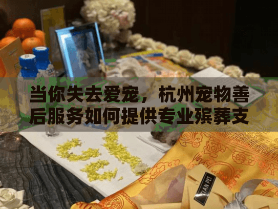 当你失去爱宠，杭州宠物善后服务如何提供专业殡葬支持？