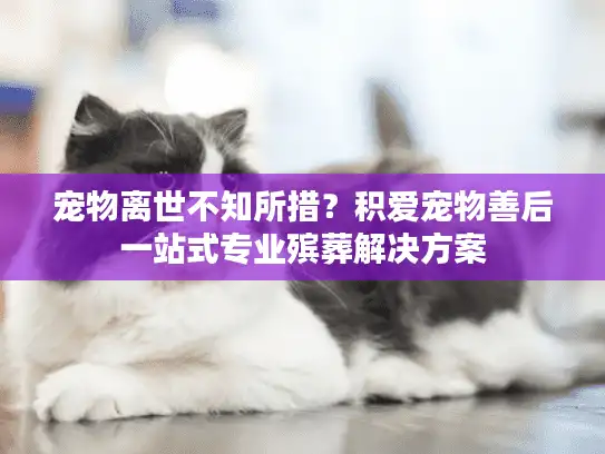 宠物离世不知所措?积爱宠物善后一站式专业殡葬解决方案 宠物离世不知所措?积爱宠物善后一站式专业殡葬解决方案