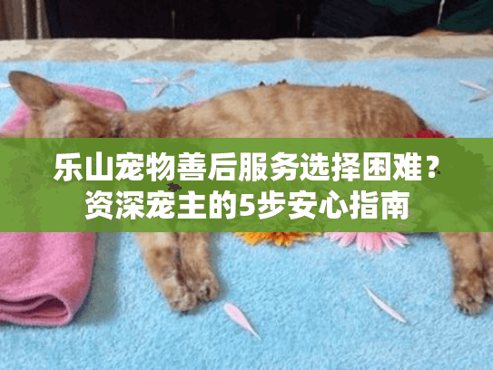 乐山宠物善后服务选择困难？资深宠主的5步安心指南