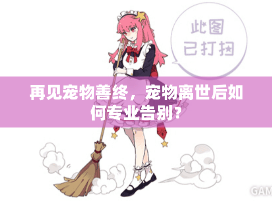 再见宠物善终，宠物离世后如何专业告别？