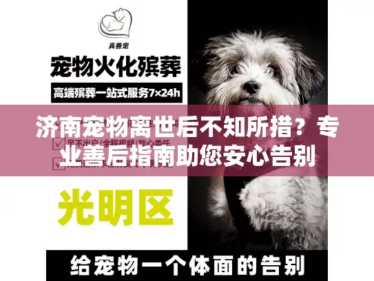 济南宠物离世后不知所措？专业善后指南助您安心告别