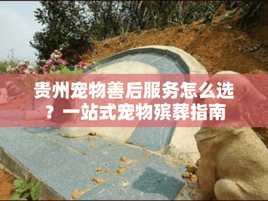贵州宠物善后服务怎么选？一站式宠物殡葬指南