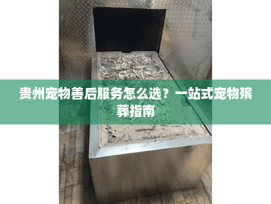 贵州宠物善后服务怎么选？一站式宠物殡葬指南