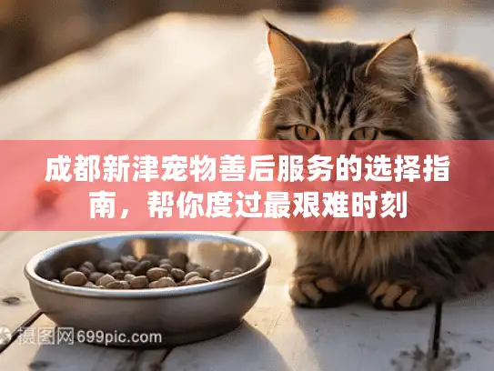 成都新津宠物善后服务的选择指南，帮你度过最艰难时刻