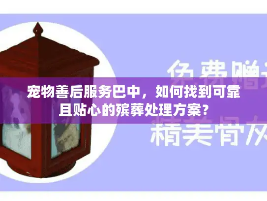 宠物善后服务巴中，如何找到可靠且贴心的殡葬处理方案？