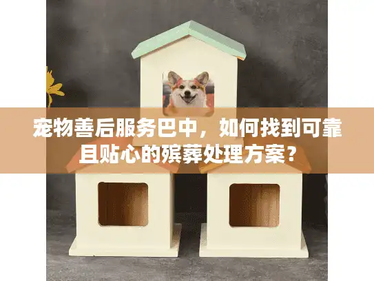 宠物善后服务巴中，如何找到可靠且贴心的殡葬处理方案？