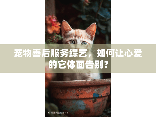 宠物善后服务综艺,如何让心爱的它体面告别? 宠物善后服务综艺,如何让心爱的它体面告别?