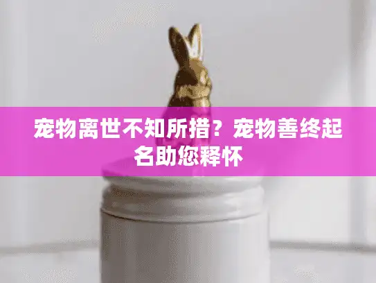 宠物离世不知所措？宠物善终起名助您释怀