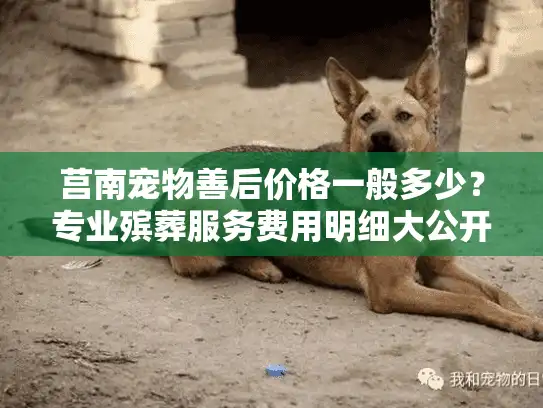 莒南宠物善后价格一般多少?专业殡葬服务费用明细大公开 莒南宠物善后价格一般多少?专业殡葬服务费用明细大公开