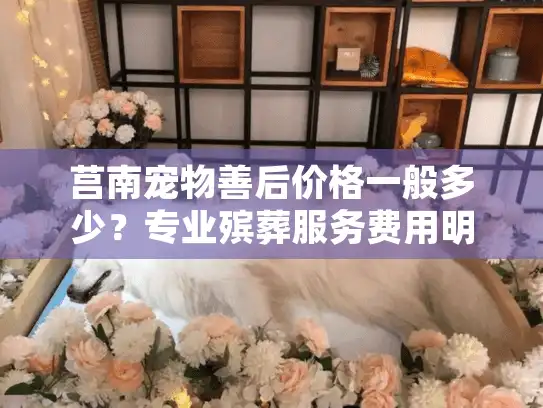 莒南宠物善后价格一般多少?专业殡葬服务费用明细大公开 莒南宠物善后价格一般多少?专业殡葬服务费用明细大公开