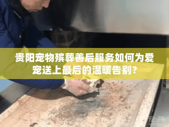 贵阳宠物殡葬善后服务如何为爱宠送上最后的温暖告别？